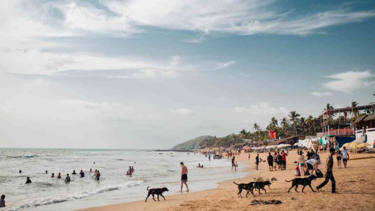 Hidden Gems Near Resort Near Candolim Beach