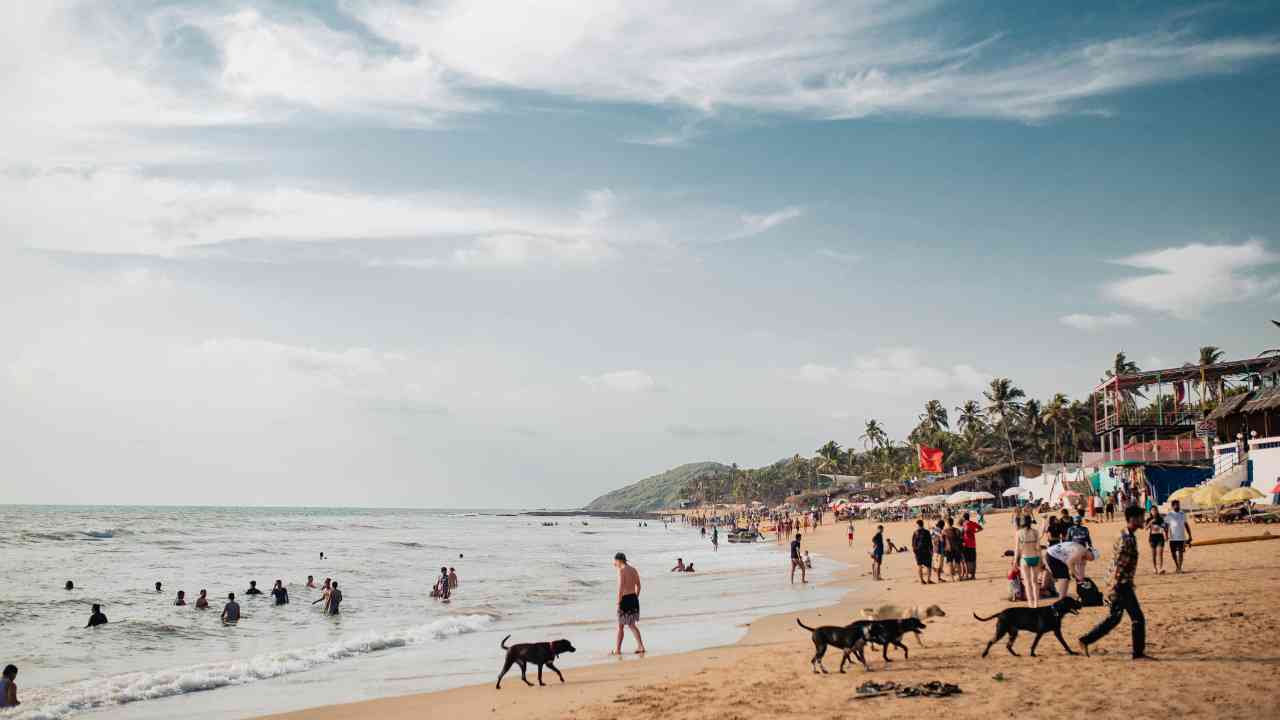 Hidden Gems Near Resort Near Candolim Beach